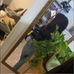 Katherine Ashley - Facebook