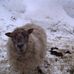 Catherine Allard - Facebook