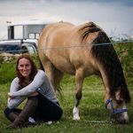 Katherine Allard - @katherine_allard_vetphysio - Instagram