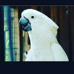 Katherine Allard-Beaulieu - @___why_not_coconut___ - Instagram