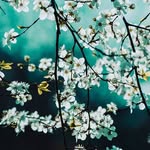 Katherine Galloway - @katherinegallowayvdk16011 - Instagram