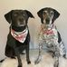 Kathy Rumer Alloway - Facebook