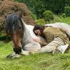 Meditate With Horses Ltd - @katherine.beaumon - TikTok