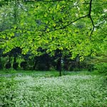 Katherine Bertram - @emorganizm6697 - Instagram