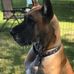 Kathy Blakeslee - Facebook