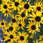 Artistic Photos - @katherineblyckerphotography - Instagram