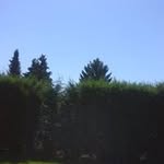 Catherine Bourgeois - @bourgeois7652 - Instagram