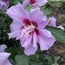 Kathryn Braddock - Facebook