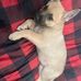 Kathryn Braxton - Facebook