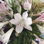 Katherine Burden - @mamakjb - Instagram