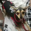 Katherine Bybee - @katb35716 - TikTok