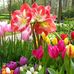 Kathrine Papa - Facebook