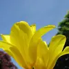 Katherine Camargo - @katherine.camargo65 - TikTok