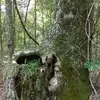 Katherine Caudill - @katherine.caudill8 - TikTok