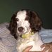 Katherine Chute - Facebook