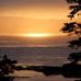 Katherine Chute - Facebook