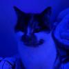 Catherine Clancy - @catherine.clancy0 - TikTok