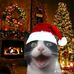 Kathryn Clemente - Facebook