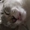 katherinecobos801 - @katherinecobos801 - TikTok