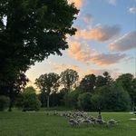Katherine Colosimo - @katherinekc999 - Instagram