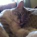 Kathy Colosimo - Facebook
