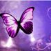 Kathy Sinopoli Colosimo - Facebook