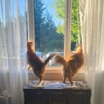 Cat Comeau - @catherine.comeau.10 - Instagram