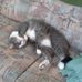 Katherine Comeau - Facebook