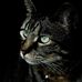 Katherine Connor - Facebook