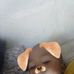 Catherine Constable - Facebook