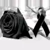 Katherine Coy - @katherine.coy - TikTok