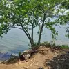 Katherine Coy - @katherine.coy6 - TikTok