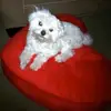 Katherine Craft - @katherine.craft2 - TikTok