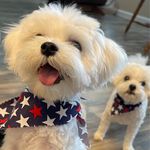 Katherine Craft - @kathycraft7 - Instagram