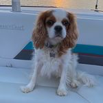 Katherine Culpepper - @katherine.and.ridley.culpepper - Instagram