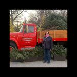 Catherine Custer - @cathycuster - Instagram