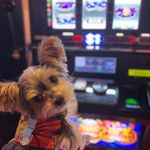 Catherine Custer Parker - @catherine_parker0801 - Instagram