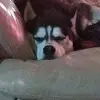Katherine Adame - @katherine.adame0 - TikTok