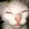 Denny Y KATHERINE - @denny.y.katherine - TikTok