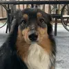 catherinedesantis - @catherinedesantis - TikTok
