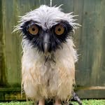 Catherine Dever - @devercatherine - Instagram