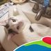 Katherine DeWitt - Facebook