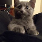 Katherine Dutton-DeWitt - @btmacf1 - Instagram