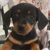 Catherine Dillinger - @catherine.dilling - TikTok