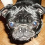 Katherine Dilling - @kedilling - Instagram
