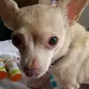 Katherine Teasley - @katherine.teasley - TikTok