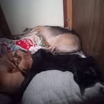 Katherine L Elmer - @bkwaldrop - Instagram