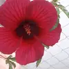 katherineelvir738 - @katherineelvir738 - TikTok