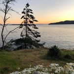 Catherine Epps - @catherineepps734 - Instagram
