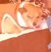 Kat Eubanks - Facebook